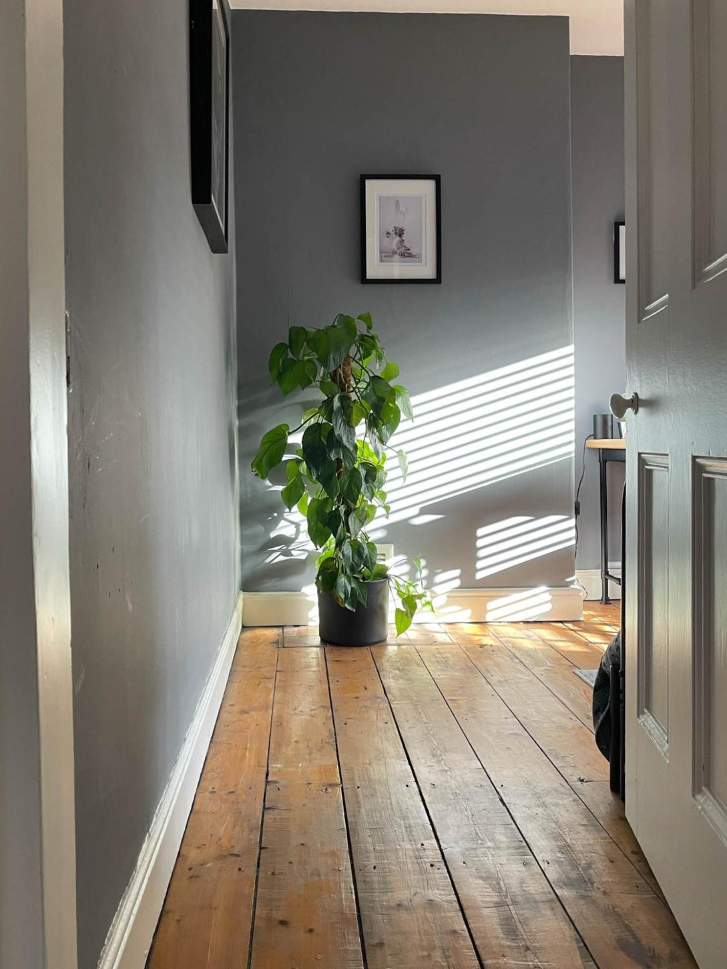 Townhouse In Trendy Suburb Of Hoole *